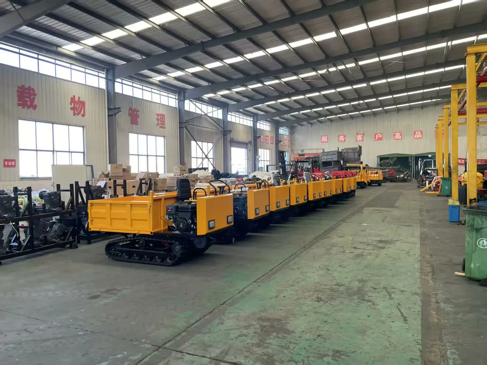 Tracked Dumpers & Mini Dumpers (Crawler Carriers) — view 12
